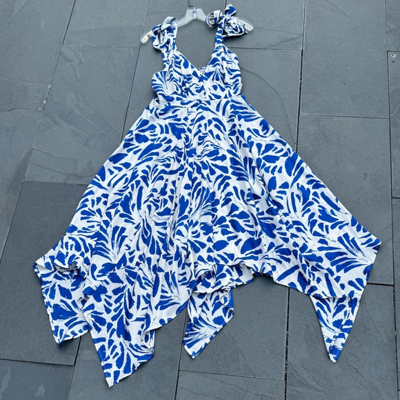 ALEXIS x Target BOTANICAL WHITE BLUE FLORAL SLEEVELESS MIDI SUMMER DRESS M - Picture 4 of 8